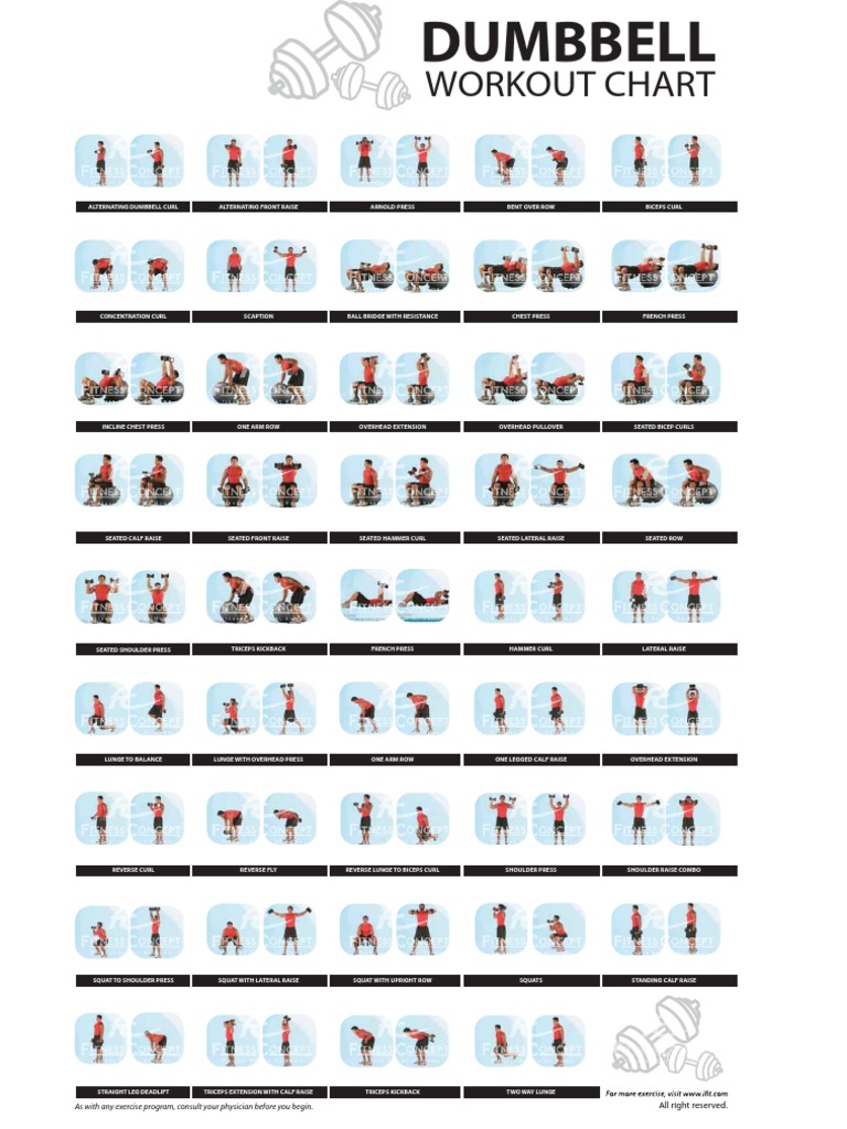 Dumbbell Workout Chart | PDF