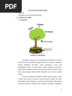 Download Pengujian Percobaan IngenHouze pada Hydrilladocx by Firda Anisa Fajarini SN208695658 doc pdf