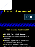 Hazard Assessment