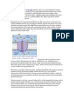 Difusi dan Transport Lintas Membran