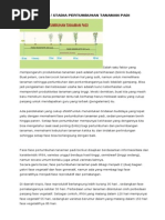 Download Fase- Stadia Pertumbuhan Tanaman Padi by bahasa_280181 SN208706924 doc pdf