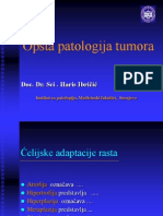 Opšta Patologija Tumora