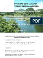 Presentacion Articulo Incendios Forestales Anp SDLB, Metapan