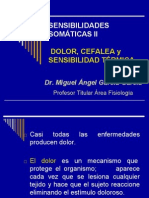Corteza Sensorial, Sensaciones Somáticas Ii, Dolor PDF