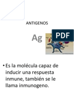 Antigen Os