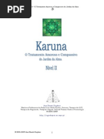 Manual Karuna II