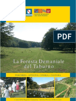 La Foresta Demaniale Del Taburno