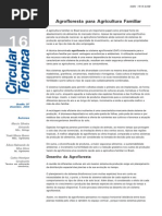 Sistema Agroflorestal Em Andares