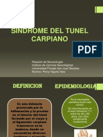 S. Tunel Carpiano