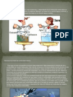 Exposicion Diagrama de Mezclas