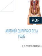 ANATOMíA QUIRÚRGICA DE LA PELVIS