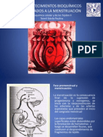 BCT II bioquímicamenstruacion