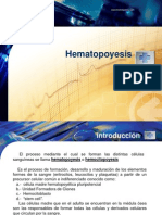 09.-_Hematopoyesis (1)