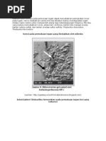 Download Bakteri Penyebab Korosi Pada Besi by abdikhalik SN208775739 doc pdf