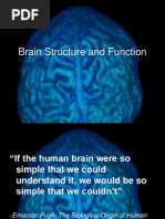 Brain Structure and Function