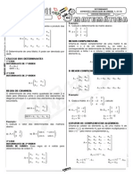 Determinantes 001