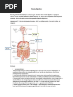 Fístulas Digestivas
