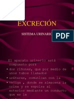 excrecion