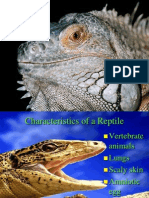 CH 32 - Reptiles