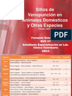 81339450 Sitios de Venopuncion en Animales