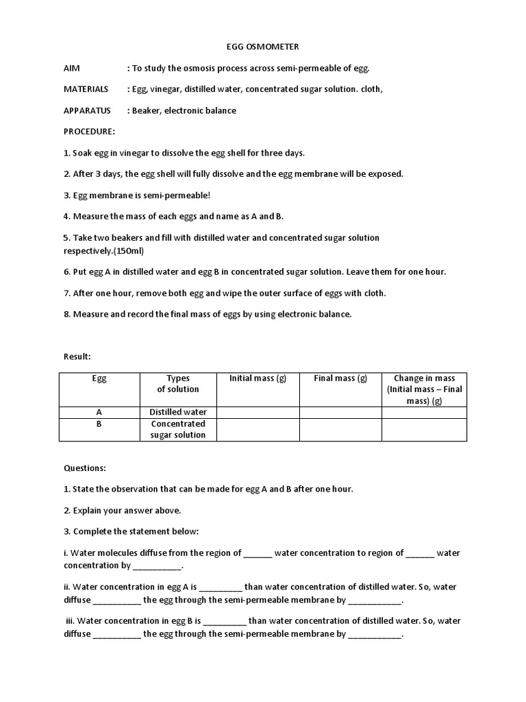 Egg Osmometer PDF Osmosis Chemical Substances
