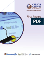 CCS Workshop Final Report PDF