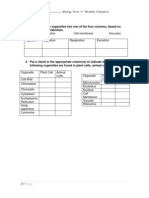 Put Each of The Organelles Into One of The Four Columns, Based On Their Role in Metabolism