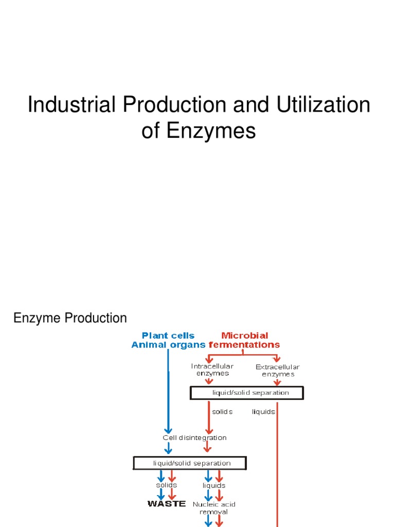 Industrial Enzyme Production Overview | PDF | Enzyme | Glucose