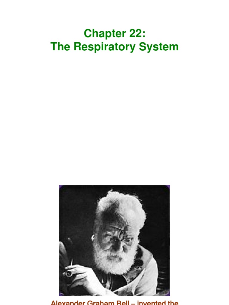 THE RESPIRATORY SYSTEM ANATOMY AND PHYSIOLOGY PDF intelligence overview