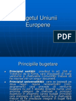 Curs 11.Bugetul UE Si Piata Muncii