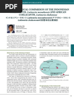Download Differences Between Comoro and Menado Raja Ikan-Japanese Research by heriabrianto SN208880240 doc pdf