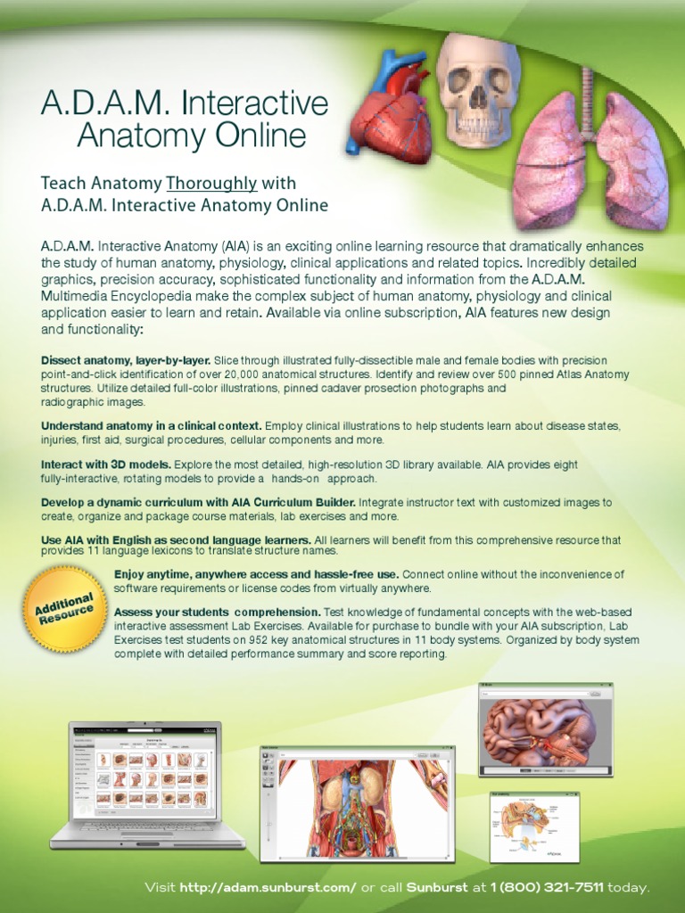 Adam Interactive Anatomy