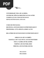 Relatorio Estagio IV