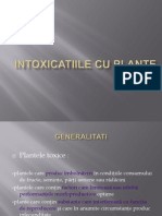 PL Tox C II - Intoxicatiile Cu Plante