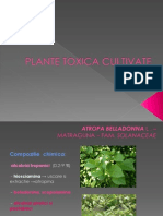 Pl Tox c Iva - Plante Toxice Cultivate