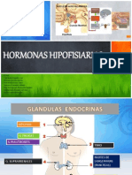 Hormonas Hipofisiarias.pptx
