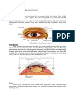 Memahami Dan Menjelaskan Anatomi Mata