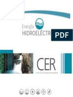 Libro Hidroelectrica