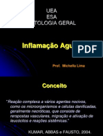 INFLAMAÇÃO AGUDA Resumida