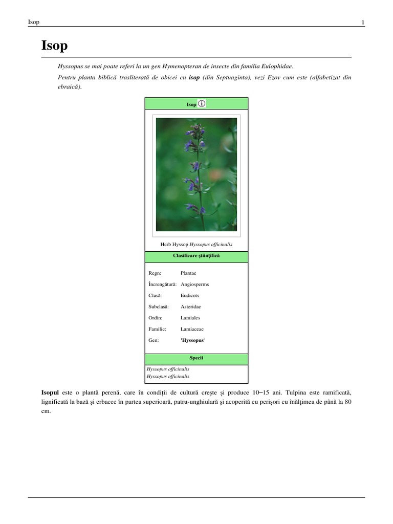 Isop | PDF