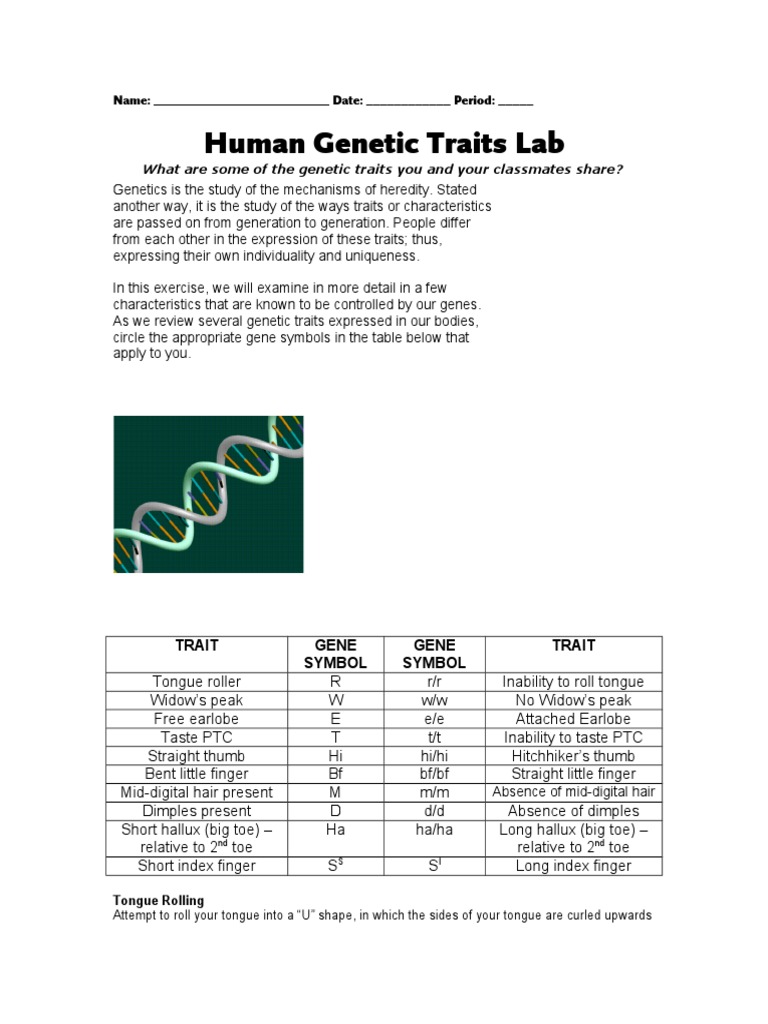 genetic traits essay