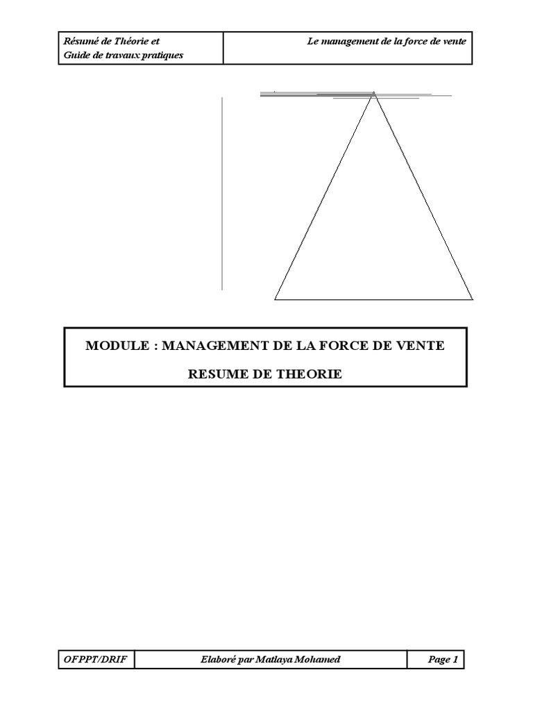 Management de la Force de Vente | PDF | Sodles | Recrutement