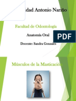 Musculos.ppt