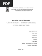 relatório weber cap. 1 e 2