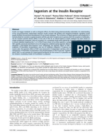 Diabetes Insulin Receptors