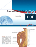 Trauma Medulla Spinalis