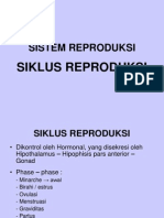 SIKLUS  REPRODUKSI