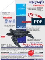 reiSPIRASI - Infografis - Penyu Belimbing