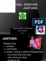 Faal 3 - Eksitasi Jantung