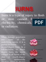 Burn Is A Type of Injury To Flesh or Skin Caused by Heat, Electricity, Chemicals, Friction, or Radiation